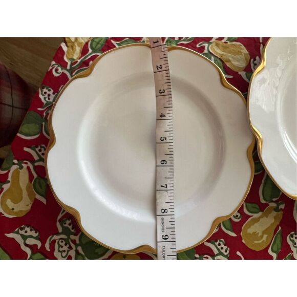 Silver Anniversary Pattern Set of one dinner plate and one coupe luncheon plate - Picture 4 of 8